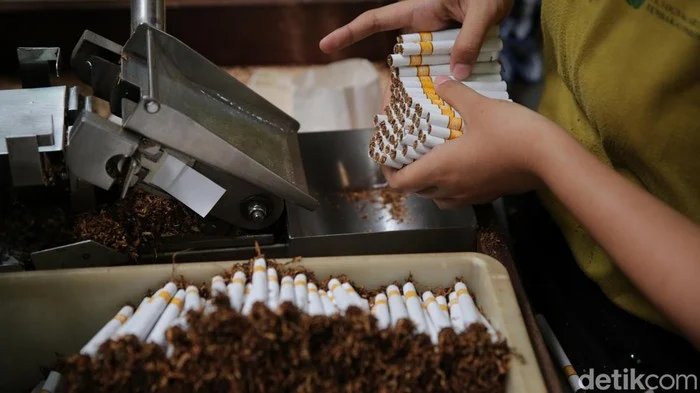 Kemasan Polos Rokok Picu Krisis Ekonomi: DPR Soroti Dampak pada Industri dan Petani