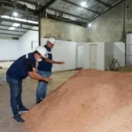 Ekosistem Hidrogen Rendah Karbon di Indonesia Diperkuat Melalui Kolaborasi